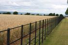 Estate Fencing