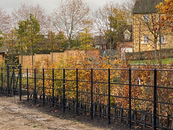 Estate Fencing