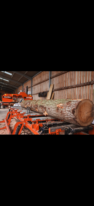 Sawmill