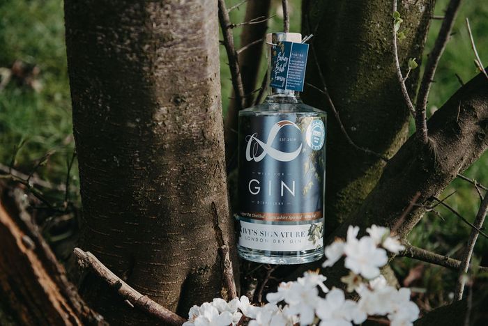 IVY'S SIGNATURE London dry gin 70cl 40%