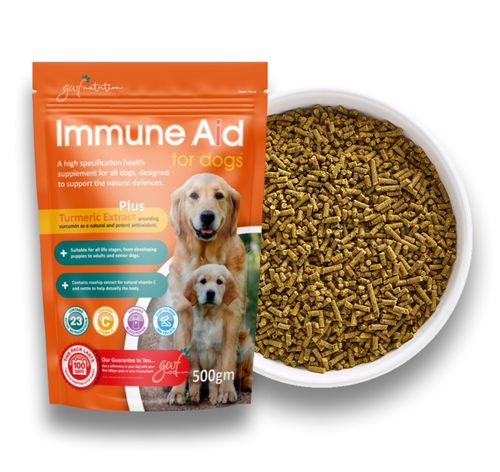 Immune Aid for Dogs