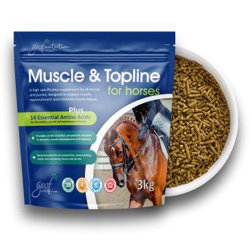 Muscle & Topline for Horses