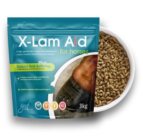 X-Lam Aid for Horses