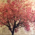 Prunus Serrulata XX by Robert Pereira Hind £1495