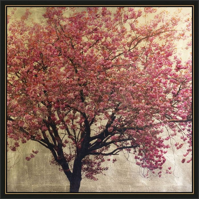 Prunus Serrulata XX by Robert Pereira Hind £1495