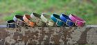 BioThane waterproof Dog Collars