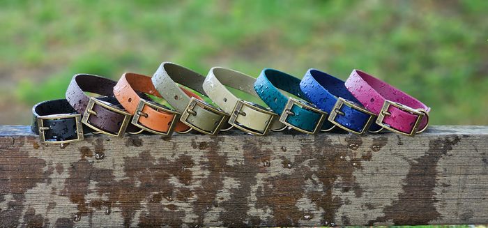 BioThane waterproof Dog Collars