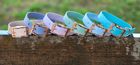BioThane waterproof Dog Collars