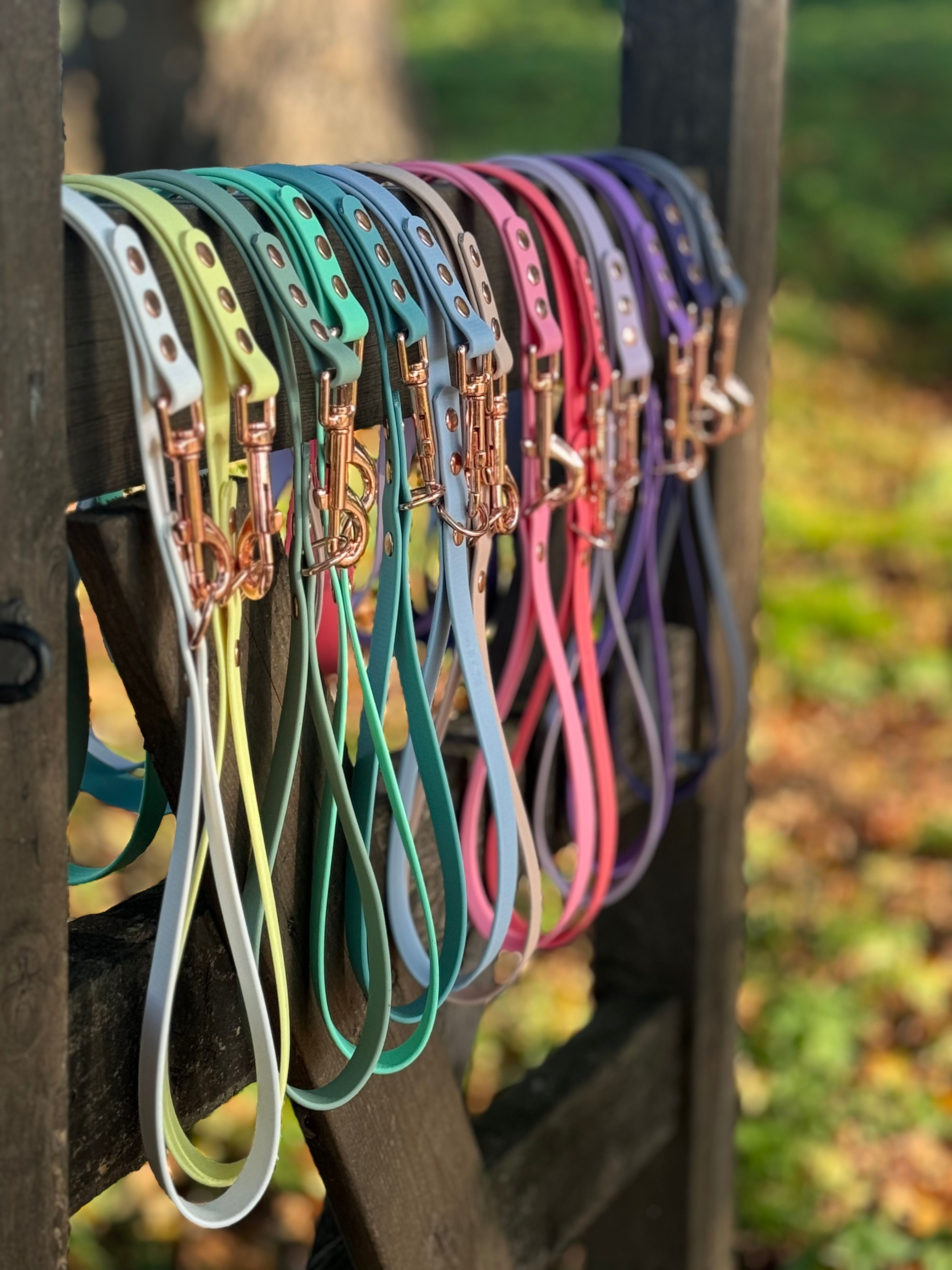 Biothane waterproof Dog Leads