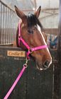 BioThane waterproof Horse Head Collars