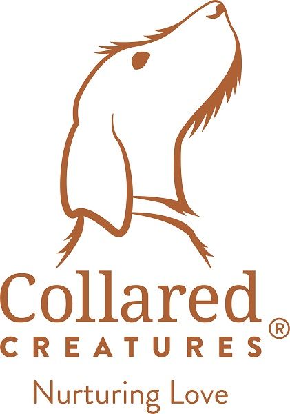 Collared Creatures Ltd