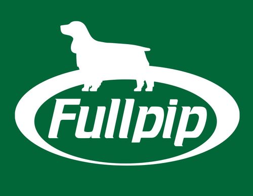 Fullpip Ltd