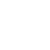 AEO Logo