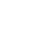 AEO Member badge
