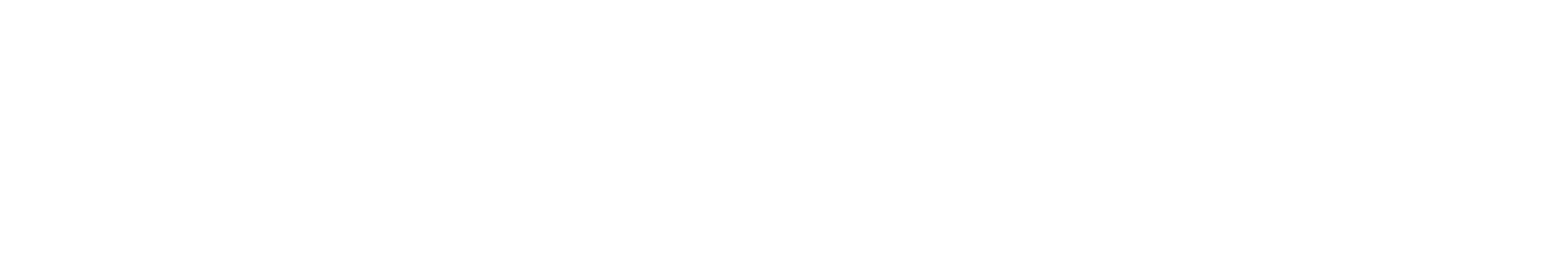 Step Connect2 logo