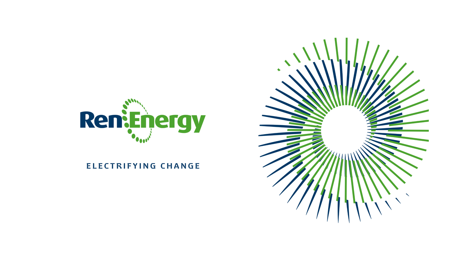 RenEnergy Ltd