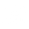 AEO Logo