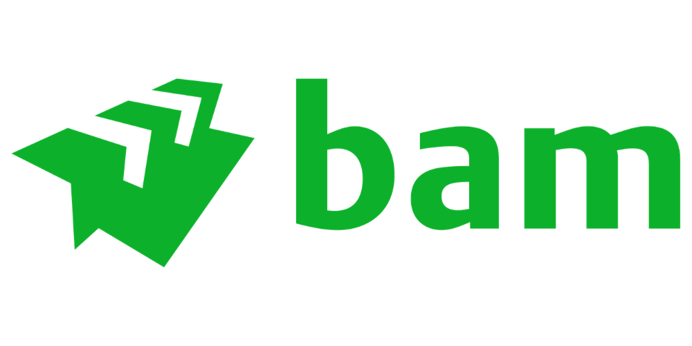 BAM Logo