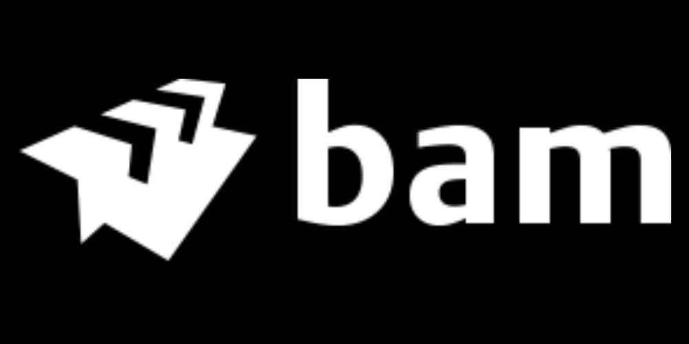 BAM Logo