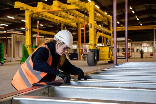 2D Light Gauge Steel panelised structures