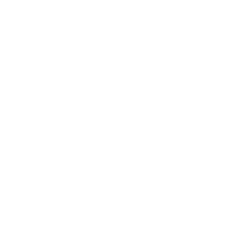 AEO Logo