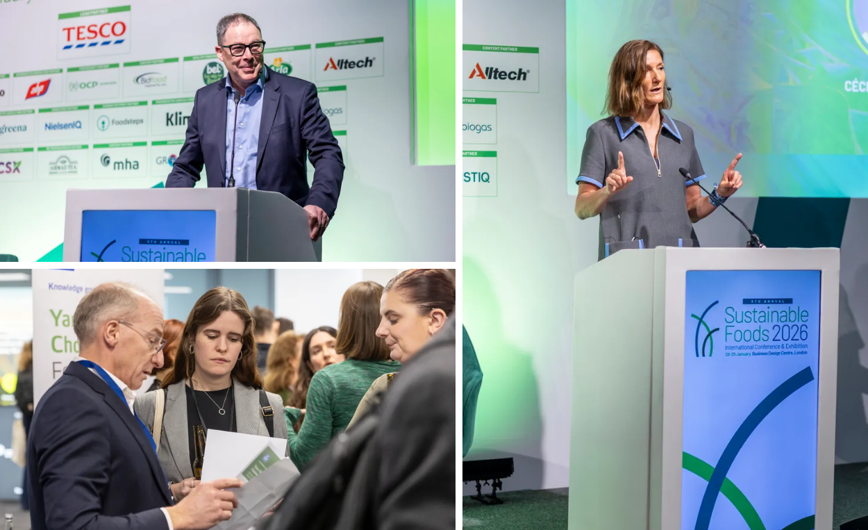 Home Wireframe