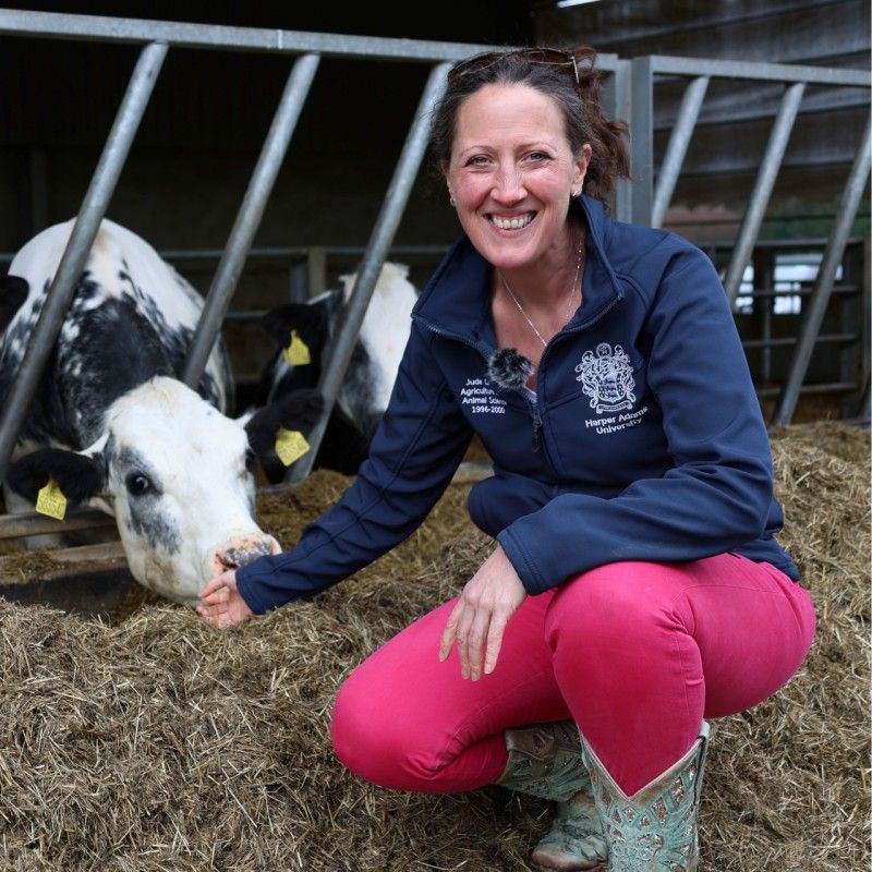 Speaker image for Jude Capper