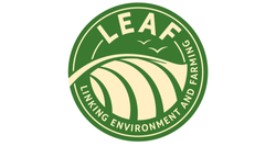 LEAF