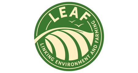 LEAF