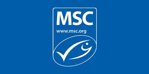 MSC