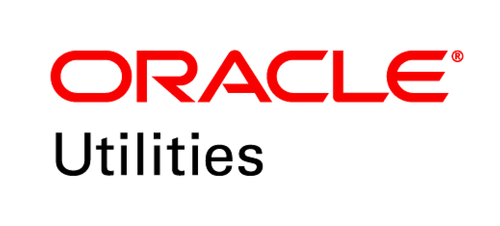 Lead Partner