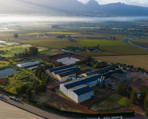 A crowd-powered solar future for Africa