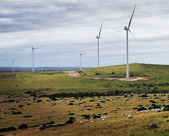 A windy success for a small South African community