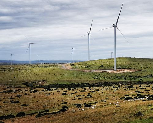 A windy success for a small South African community