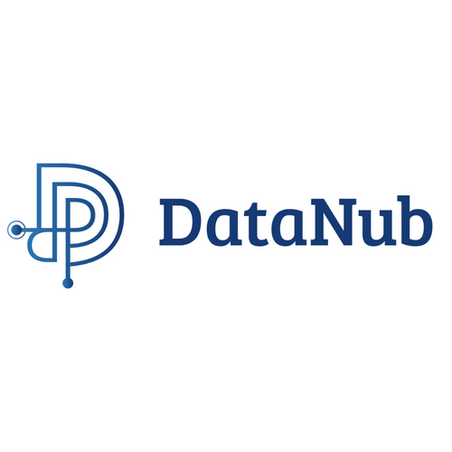 DataNub Technologies