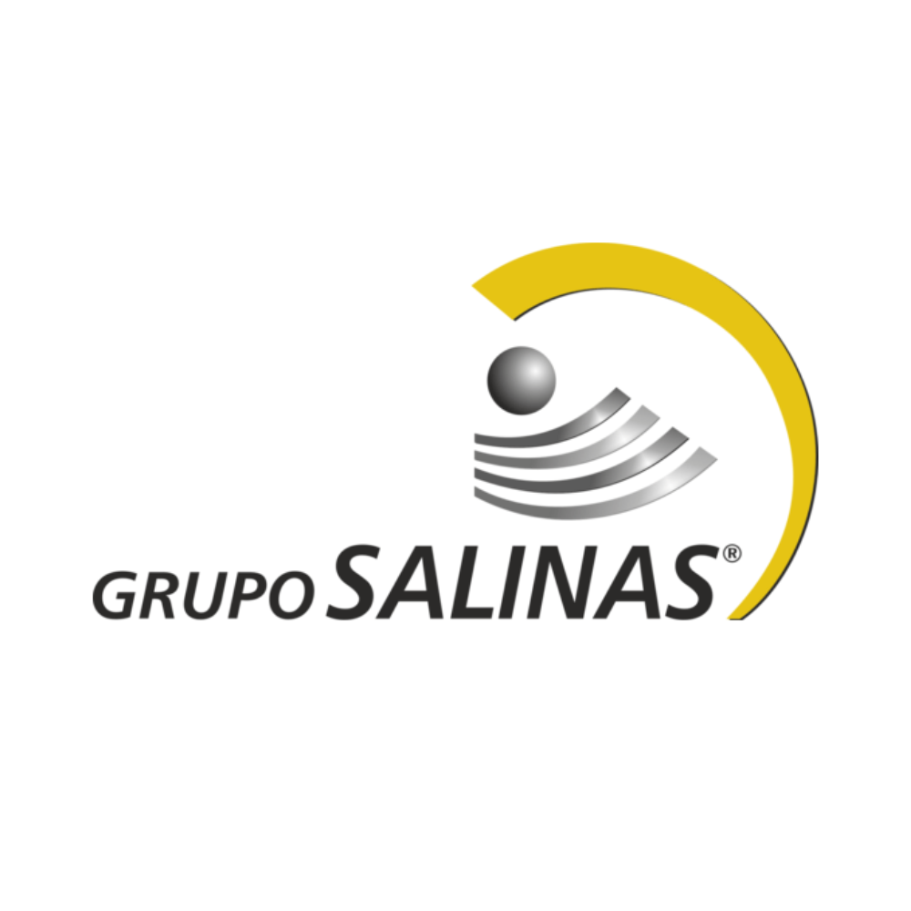grupos salinas