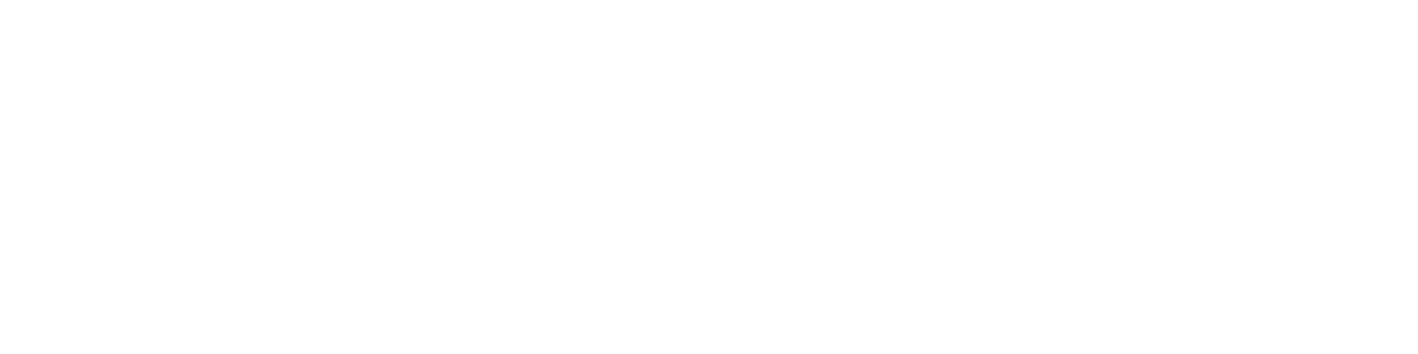 datasite logo