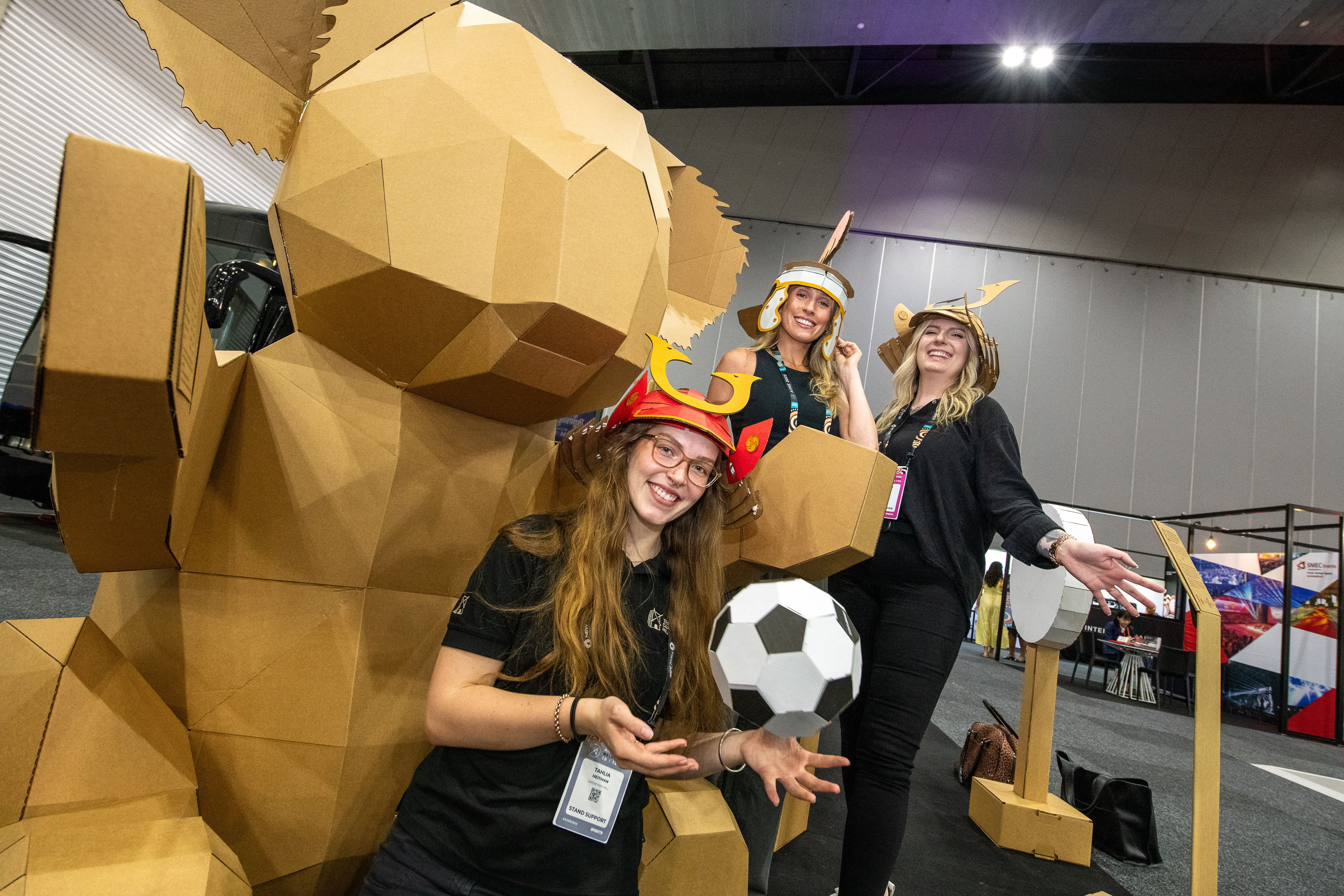 Cardboard Mill koala at AIME