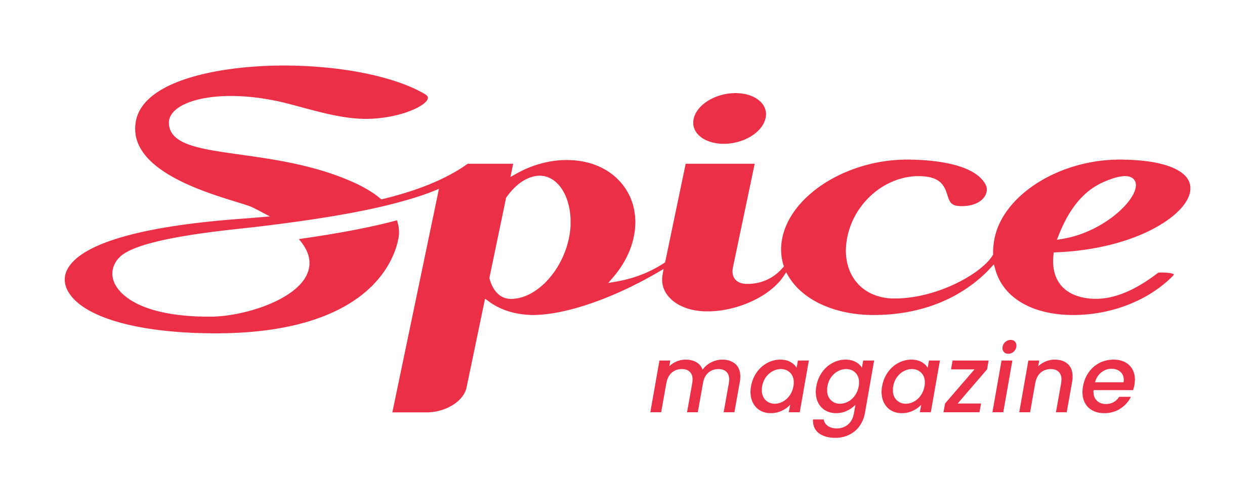 Spice logo
