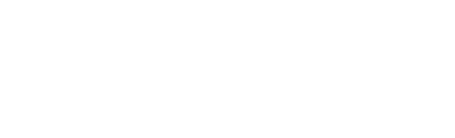 AIME logo