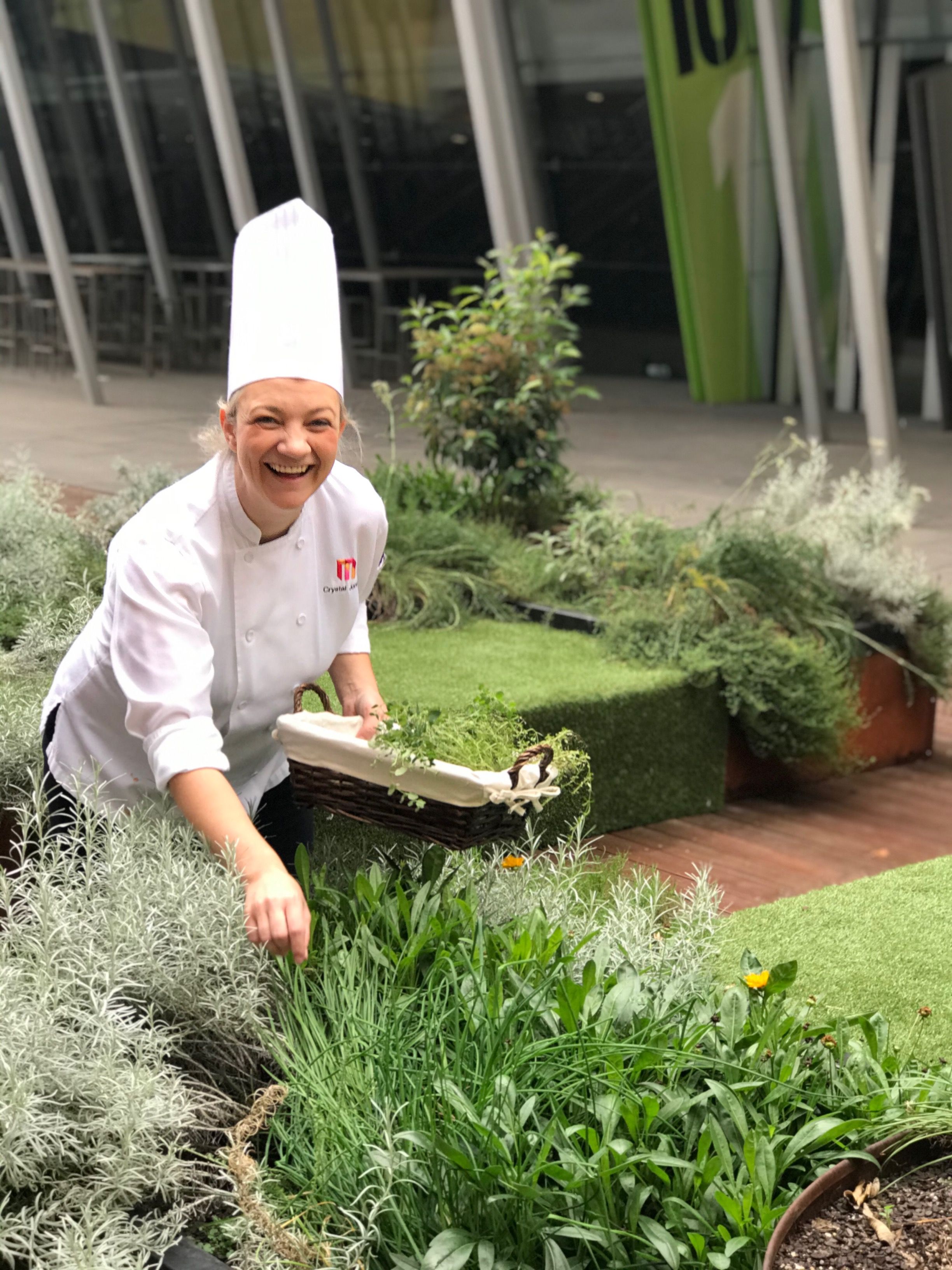 MCEC chef picking fresh produce from the centre's gardens