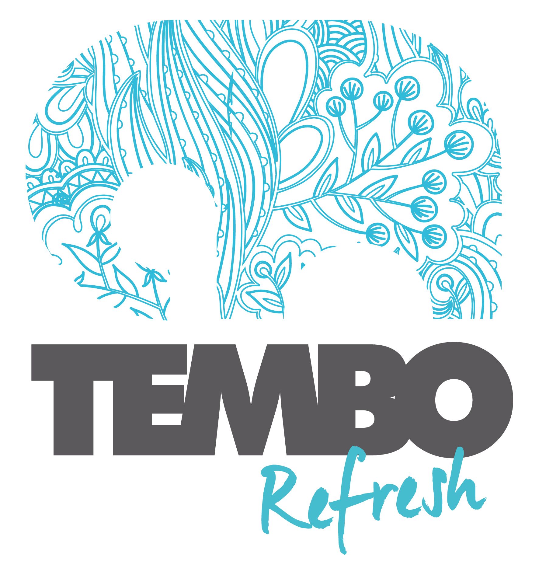 TEMBO IMPACT - header and elephant