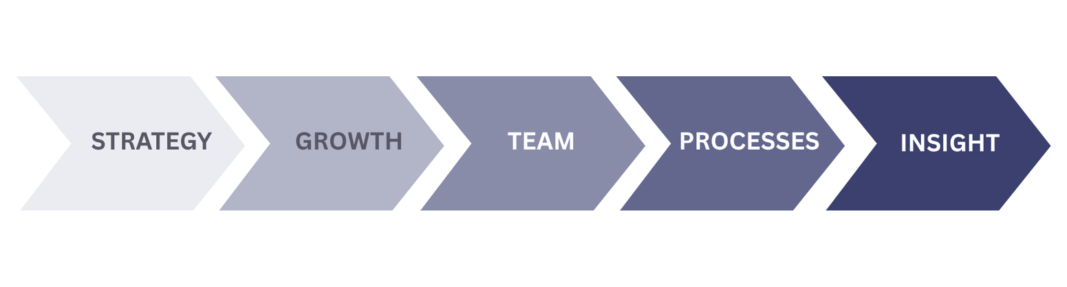 TEMBO consultancy - the process