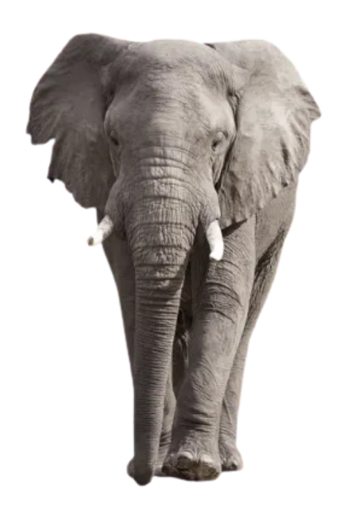 TEMBO logo