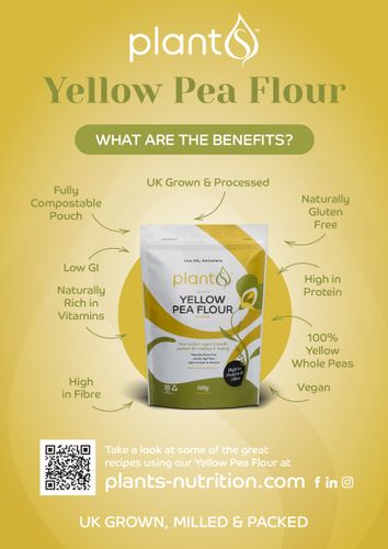 Plant Yellow Pea Flour 500g