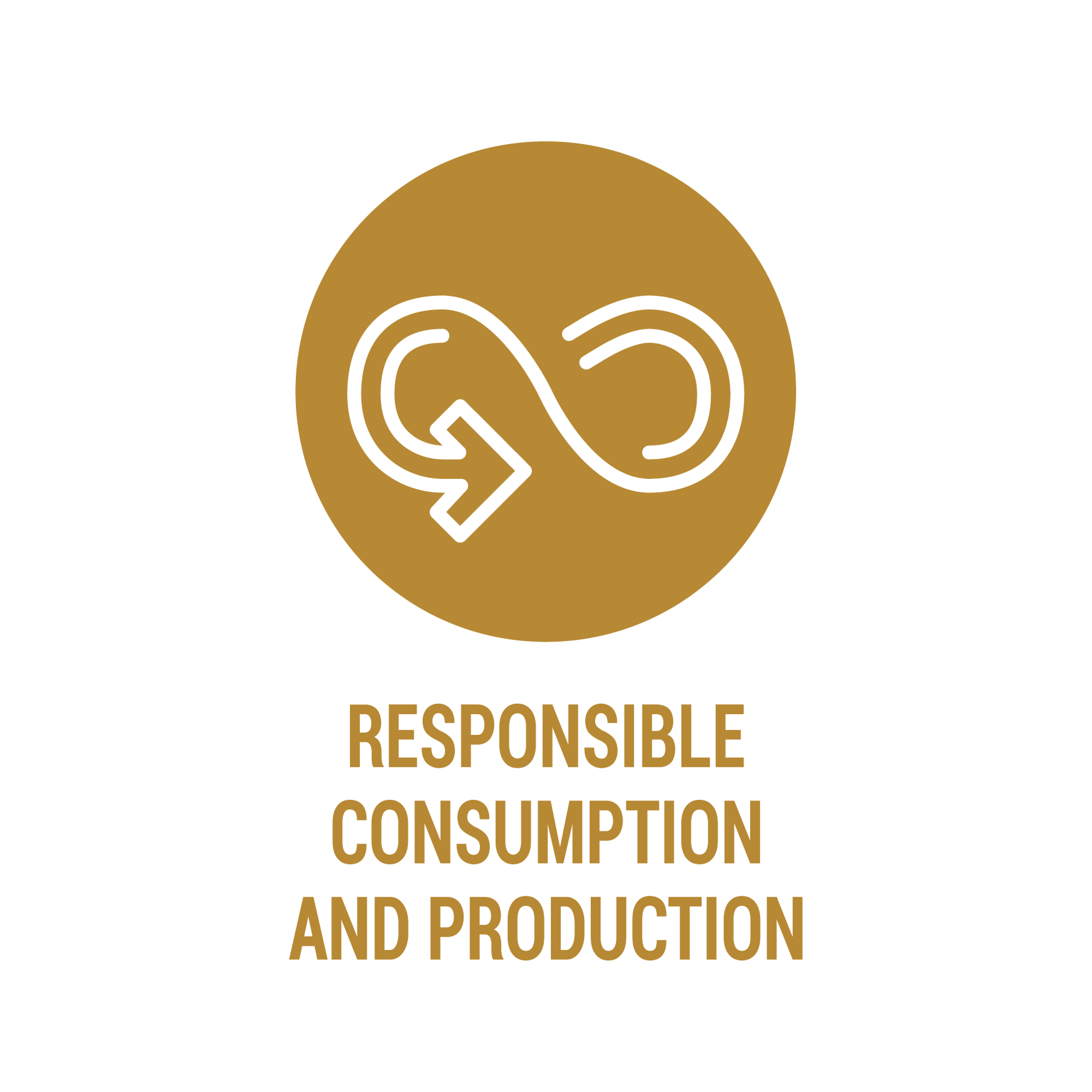 Responsible Consumption & Production