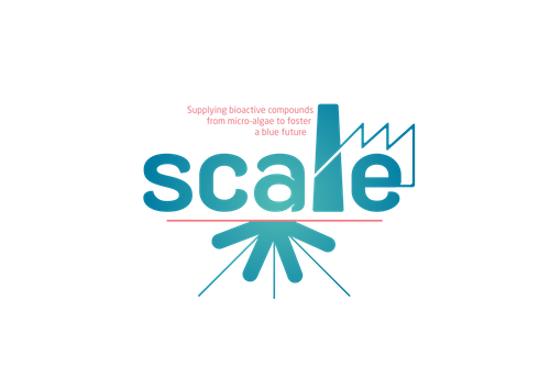 SCALE