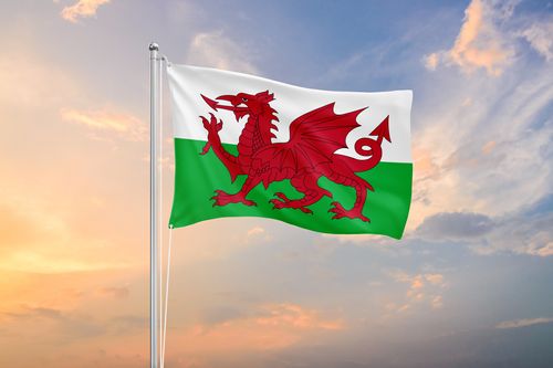 A new collaboration between Wales tech scale-up and steel manufacturers will focus on making steel production greener
