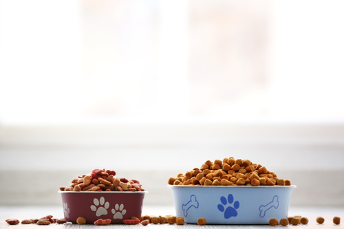 Veolia recently received TRACES approval to export their pet food which is developed through greener manufacturing processes