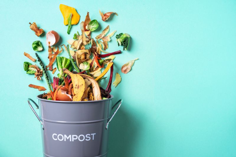 Biotech Start Up Secures Funds for Compostable Packaging